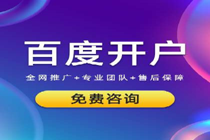 某电商平台的SEM推广策略——代运营公司的实践